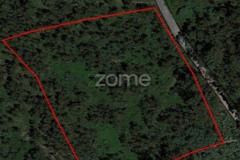 Helårsgrund i Santo Tirso, Porto, Santo Tirso - € 80.000 | Ref: ZMPT541480 - foto 4