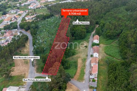 Helårsgrund i Grijo, Porto, Grijo - € 100.000 | Ref: ZMPT579558 - foto 3