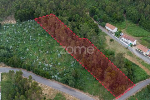Helårsgrund i Grijo, Porto, Grijo - € 100.000 | Ref: ZMPT579558 - foto 5