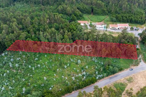 Helårsgrund i Grijo, Porto, Grijo - € 100.000 | Ref: ZMPT579558 - foto 7