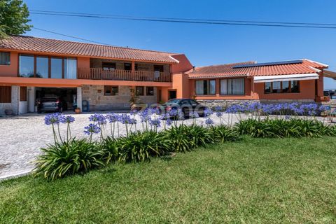 Farm i Galegos, Porto, Galegos - € 650.000 | Ref: ZMPT568720 - foto 2