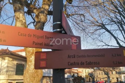 Grond in Sabrosa, Vila Real, Sabrosa - € 199.000 | Ref: ZMPT584963 - foto 12