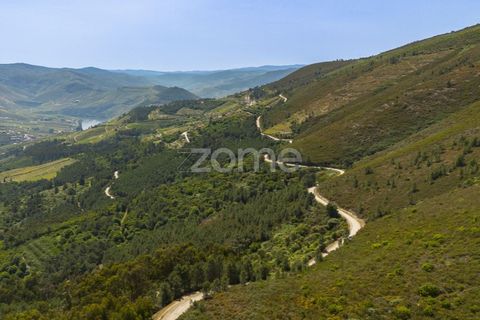 Granja a Sabrosa, Vila Real, Sabrosa - € 355.000 | Ref: ZMPT589429 - foto 3
