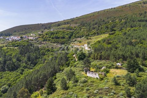 Granja a Sabrosa, Vila Real, Sabrosa - € 355.000 | Ref: ZMPT589429 - foto 5
