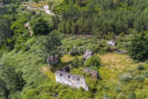 Granja a Sabrosa, Vila Real, Sabrosa - € 355.000 | Ref: ZMPT589429 - foto 6