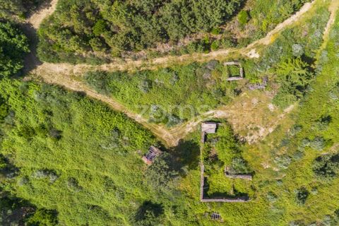 Granja a Sabrosa, Vila Real, Sabrosa - € 355.000 | Ref: ZMPT589429 - foto 7