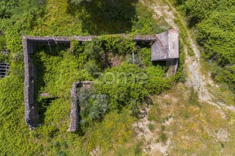 Granja a Sabrosa, Vila Real, Sabrosa - € 355.000 | Ref: ZMPT589429 - foto 9