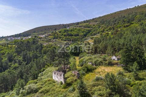 Granja a Sabrosa, Vila Real, Sabrosa - € 355.000 | Ref: ZMPT589429 - foto 12