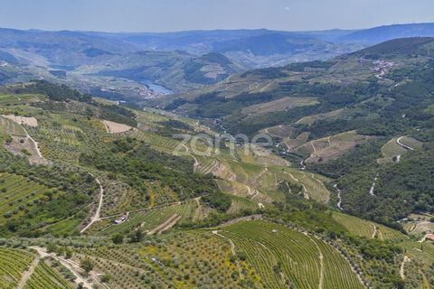Granja a Sabrosa, Vila Real, Sabrosa - € 355.000 | Ref: ZMPT589429 - foto 16