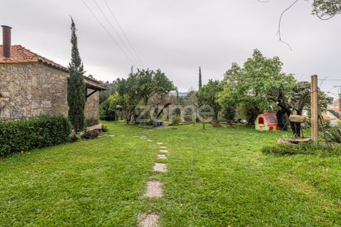 Farm i Ponte de Lima, Viana do Castelo, Ponte de Lima - € 499.000 | Ref: ZMPT572866 - foto 1