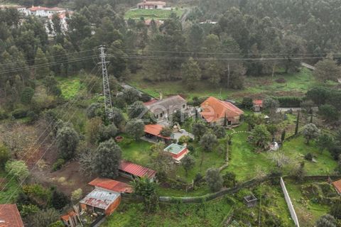 Farm i Ponte de Lima, Viana do Castelo, Ponte de Lima - € 499.000 | Ref: ZMPT572866 - foto 4