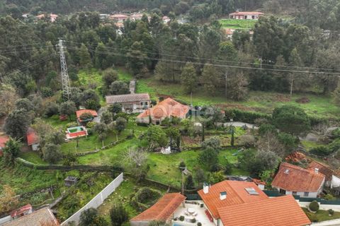 Farm i Ponte de Lima, Viana do Castelo, Ponte de Lima - € 499.000 | Ref: ZMPT572866 - foto 8