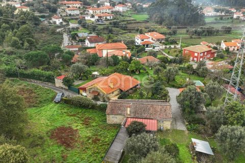 Farm i Ponte de Lima, Viana do Castelo, Ponte de Lima - € 499.000 | Ref: ZMPT572866 - foto 10