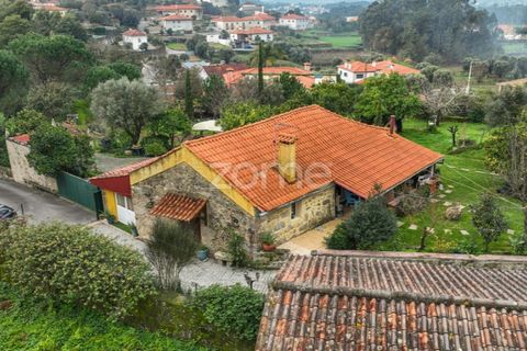 Farm i Ponte de Lima, Viana do Castelo, Ponte de Lima - € 499.000 | Ref: ZMPT572866 - foto 14
