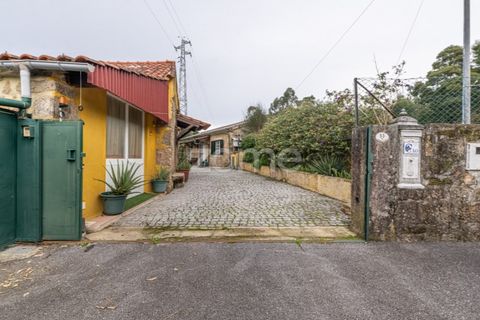 Farm i Ponte de Lima, Viana do Castelo, Ponte de Lima - € 499.000 | Ref: ZMPT572866 - foto 15