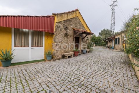 Farm i Ponte de Lima, Viana do Castelo, Ponte de Lima - € 499.000 | Ref: ZMPT572866 - foto 16