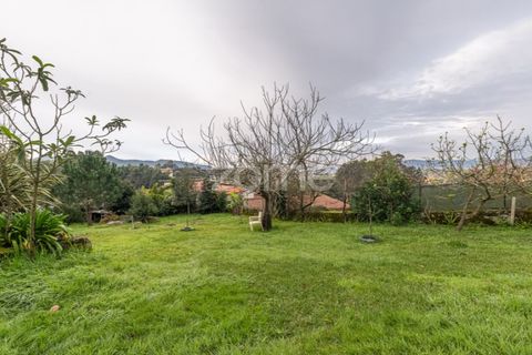 Farm i Ponte de Lima, Viana do Castelo, Ponte de Lima - € 499.000 | Ref: ZMPT572866 - foto 23