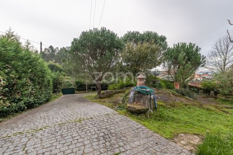 Farm i Ponte de Lima, Viana do Castelo, Ponte de Lima - € 499.000 | Ref: ZMPT572866 - foto 25