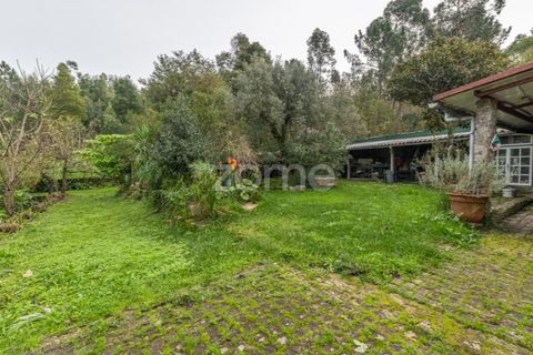 Farm i Ponte de Lima, Viana do Castelo, Ponte de Lima - € 499.000 | Ref: ZMPT572866 - foto 28