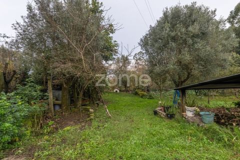 Farm i Ponte de Lima, Viana do Castelo, Ponte de Lima - € 499.000 | Ref: ZMPT572866 - foto 29