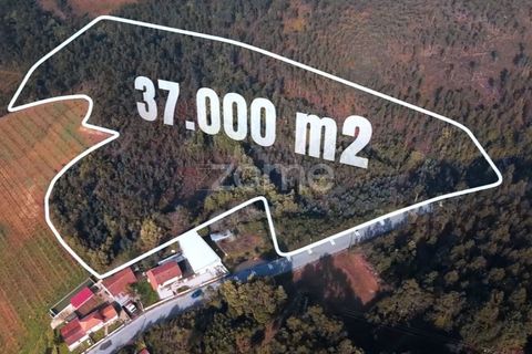 Helårsgrund i Sobreira, Porto, Sobreira - € 140.000 | Ref: ZMPT585538 - foto 3