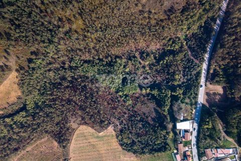 Helårsgrund i Sobreira, Porto, Sobreira - € 140.000 | Ref: ZMPT585538 - foto 9