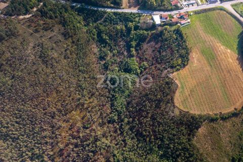 Helårsgrund i Sobreira, Porto, Sobreira - € 140.000 | Ref: ZMPT585538 - foto 10