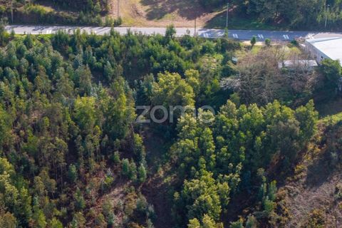 Helårsgrund i Sobreira, Porto, Sobreira - € 140.000 | Ref: ZMPT585538 - foto 14