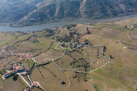 Helårsgrund i Fontelas, Vila Real, Fontelas - € 140.000 | Ref: ZMPT583593 - foto 1