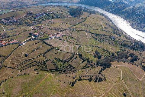 Helårsgrund i Fontelas, Vila Real, Fontelas - € 140.000 | Ref: ZMPT583593 - foto 6