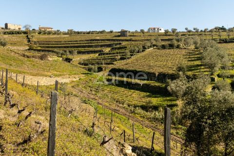 Helårsgrund i Fontelas, Vila Real, Fontelas - € 140.000 | Ref: ZMPT583593 - foto 14
