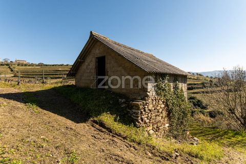 Helårsgrund i Fontelas, Vila Real, Fontelas - € 140.000 | Ref: ZMPT583593 - foto 17