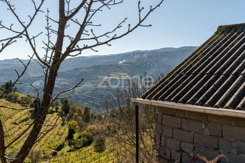 Helårsgrund i Fontelas, Vila Real, Fontelas - € 140.000 | Ref: ZMPT583593 - foto 20