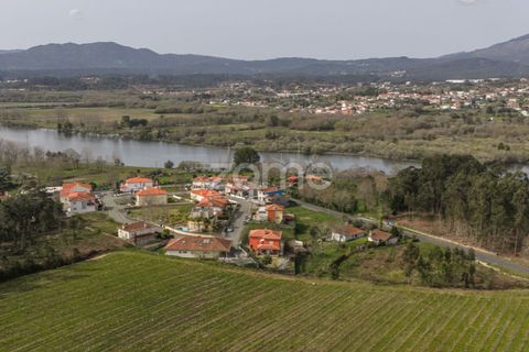 Helårsgrund i Viana do Castelo, Viana do Castelo, Viana do Castelo - € 55.000 | Ref: ZMPT586288 - foto 20