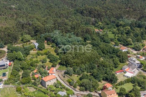 Helårsgrund i Caminha, Viana do Castelo, Caminha - € 350.000 | Ref: ZMPT519487 - foto 2
