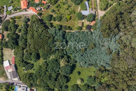 Helårsgrund i Caminha, Viana do Castelo, Caminha - € 350.000 | Ref: ZMPT519487 - foto 4