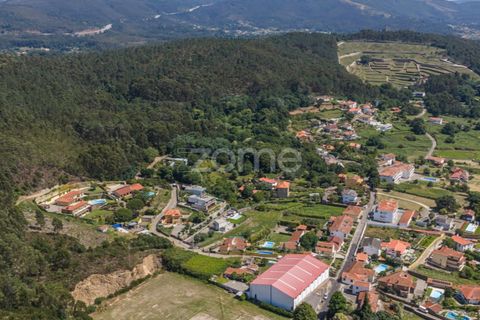 Helårsgrund i Caminha, Viana do Castelo, Caminha - € 350.000 | Ref: ZMPT519487 - foto 7