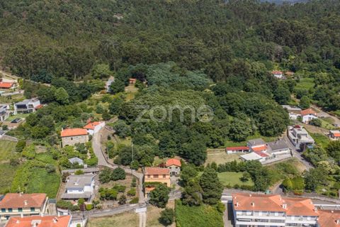 Helårsgrund i Caminha, Viana do Castelo, Caminha - € 350.000 | Ref: ZMPT519487 - foto 8