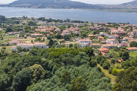 Helårsgrund i Caminha, Viana do Castelo, Caminha - € 350.000 | Ref: ZMPT519487 - foto 11