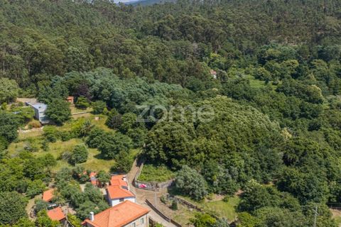Helårsgrund i Caminha, Viana do Castelo, Caminha - € 350.000 | Ref: ZMPT519487 - foto 14
