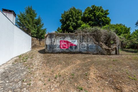 Helårsgrund i Caminha, Viana do Castelo, Caminha - € 350.000 | Ref: ZMPT519487 - foto 15