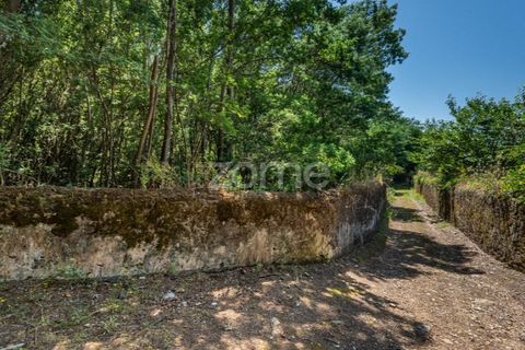 Helårsgrund i Caminha, Viana do Castelo, Caminha - € 350.000 | Ref: ZMPT519487 - foto 16