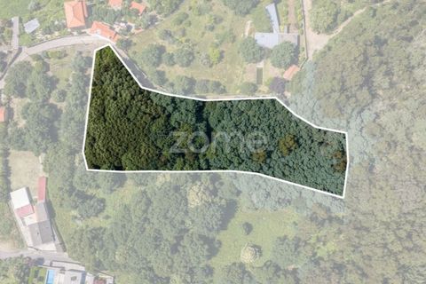 Helårsgrund i Caminha, Viana do Castelo, Caminha - € 350.000 | Ref: ZMPT519487 - foto 17