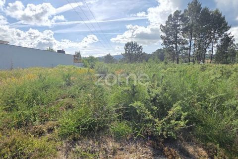 Helårsgrund i Fafe, Braga, Fafe - € 150.000 | Ref: ZMPT589065 - foto 3