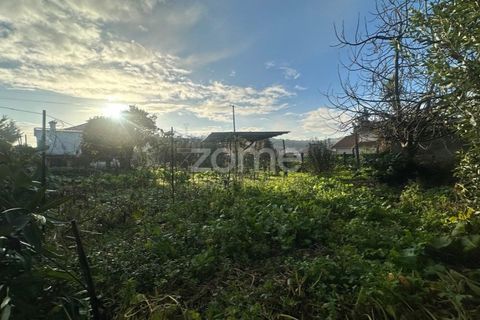 Tomt i Riba de Ave, Braga, Riba de Ave - € 45 000 | Ref: ZMPT583519 - foto 6