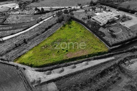 Tomt i Ribeirao, Braga, Ribeirao - € 102 000 | Ref: ZMPT575559 - foto 2