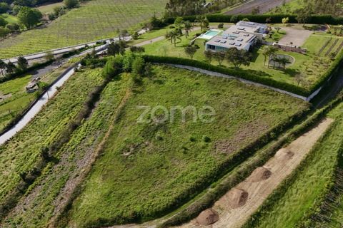 Tomt i Ribeirao, Braga, Ribeirao - € 102 000 | Ref: ZMPT575559 - foto 10