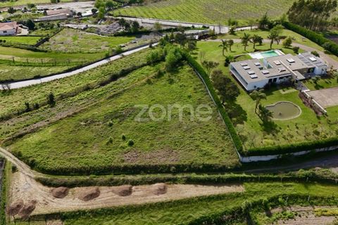 Tomt i Ribeirao, Braga, Ribeirao - € 102 000 | Ref: ZMPT575559 - foto 11