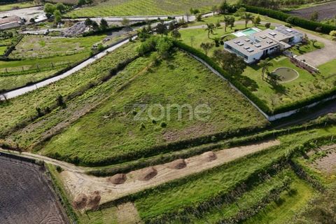 Tomt i Ribeirao, Braga, Ribeirao - € 102 000 | Ref: ZMPT575559 - foto 12