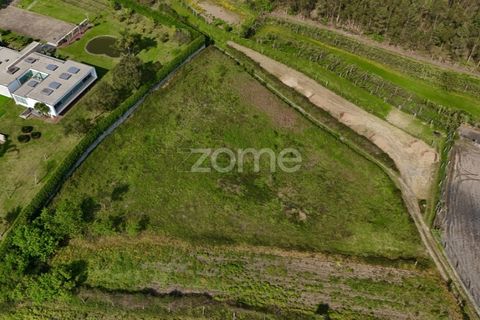Tomt i Ribeirao, Braga, Ribeirao - € 102 000 | Ref: ZMPT575559 - foto 14